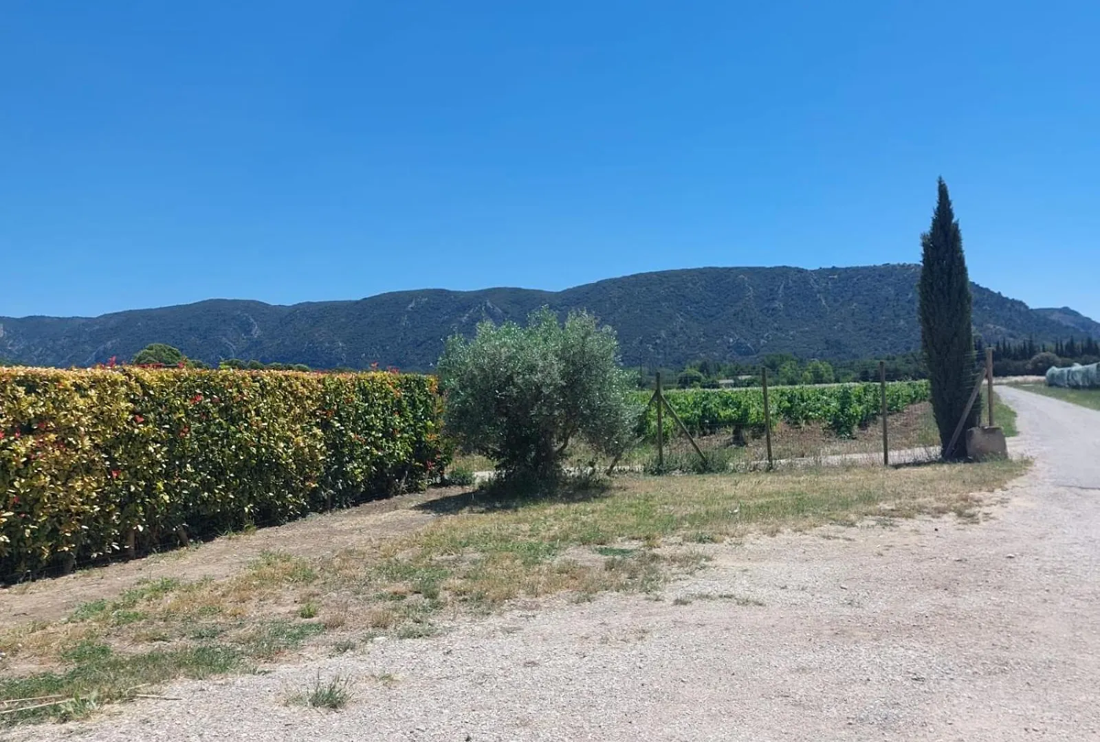 Holiday home La Maison D'Antoine A Robion